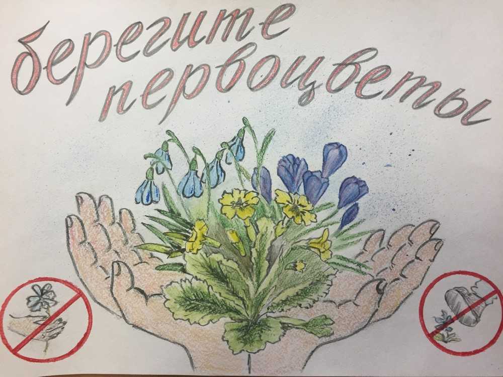 Защита растений плакат