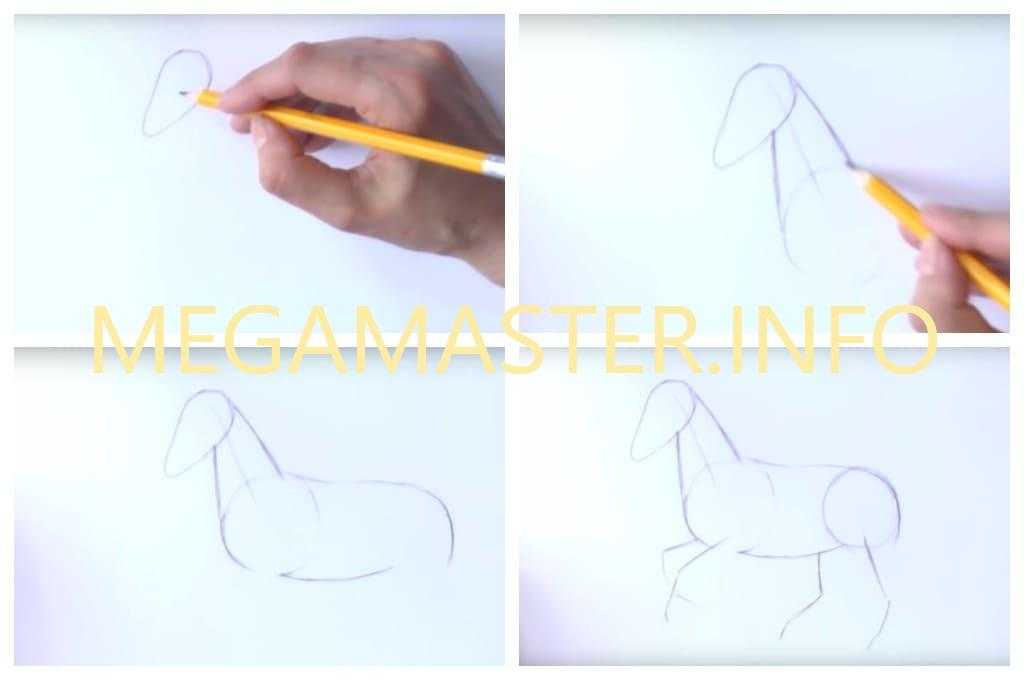 Как нарисовать лошадь в полный рост карандашом поэтапно