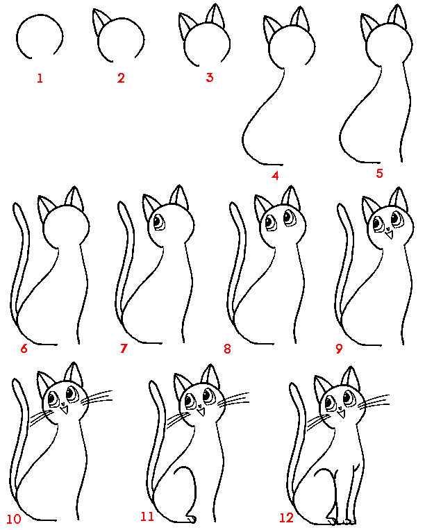 Простой способ научиться рисовать домашнего кота карандашом поэтапно