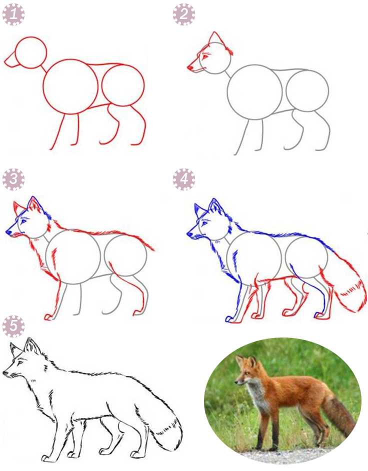 Рисунок лисы карандашом для детей для срисовки поэтапно из сказки колобок, лиса и журавль, теремок, блэкпинк, басни ворона и лисица, геометрических фигур, треугольников, символов