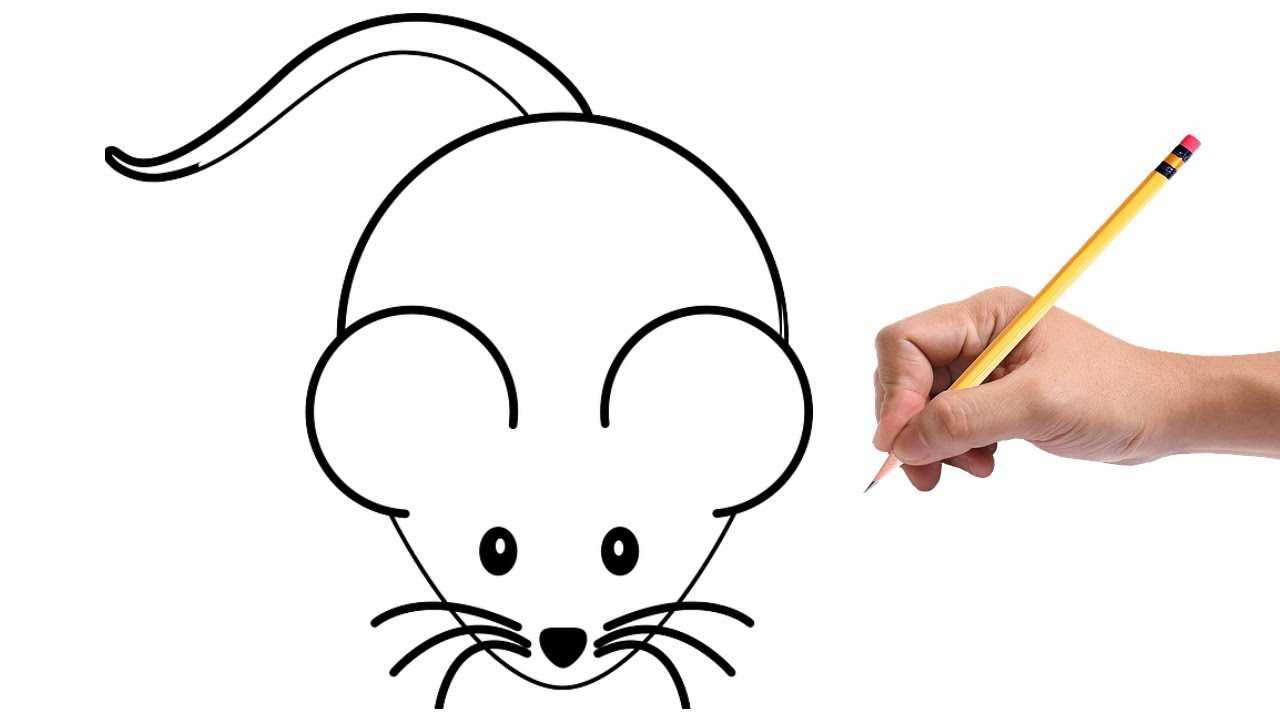 Как нарисовать мышь карандашом поэтапно для начинающих и детей? как нарисовать мордочку мышки карандашом?