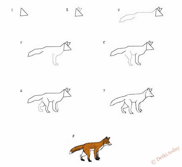 Как нарисовать лису: топ-130 фото интересных идей рисования лисы. пошаговая инструкция создания простого и сложного рисунка своими руками