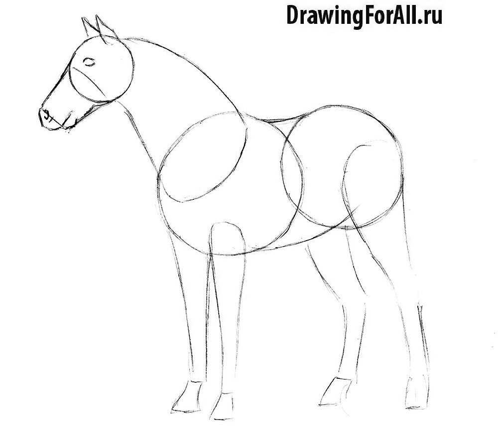 Как простым карандашом нарисовать с ребенком лошадь