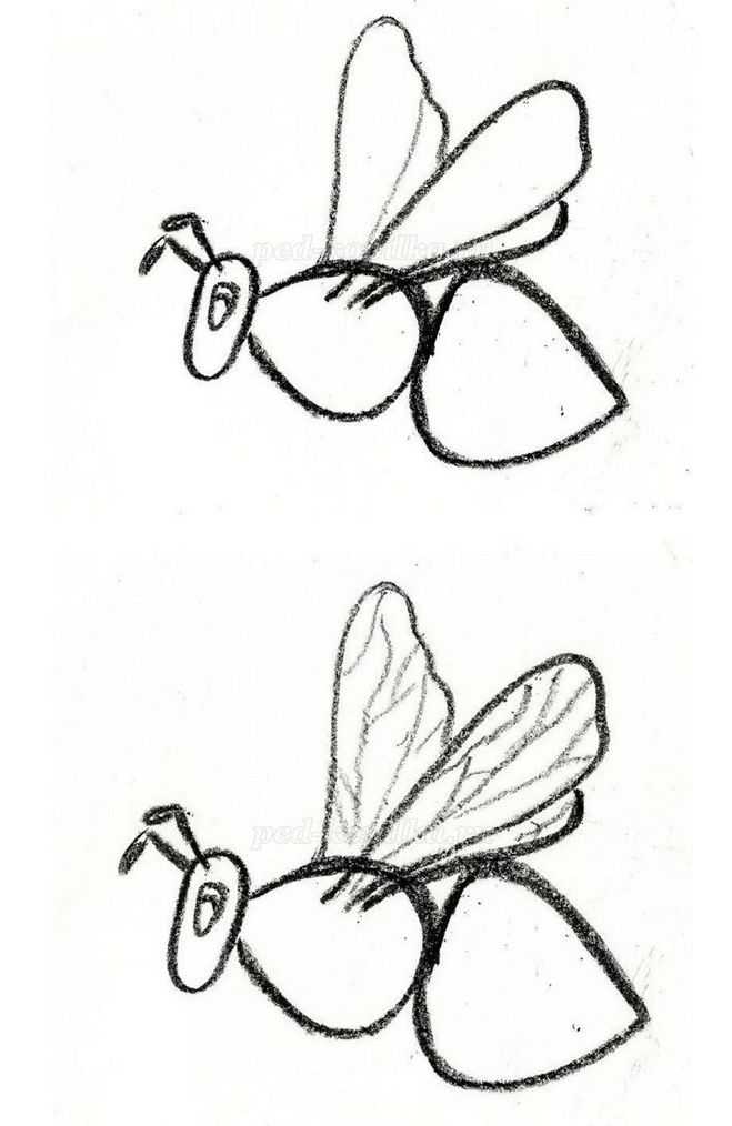 Бумага, карандаши, трафареты для рисования карандашом, как поэтапно сделать графический рисунок на пчелиную тему шестиугольник, соты, пчела, идеи рисунков карандашом для детей: пчелка Майя, медоносные насекомые на сотах, улей, пасека, прикольные и смешные