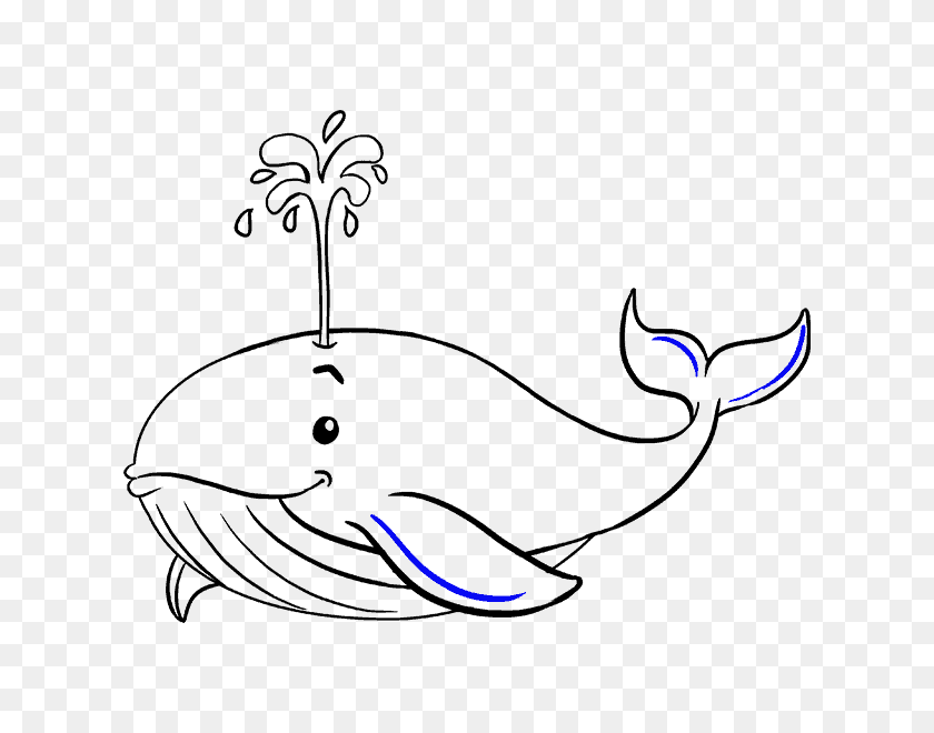 Как нарисовать кита поэтапно: легкая инструкция по создания красивых рисунков карандашами