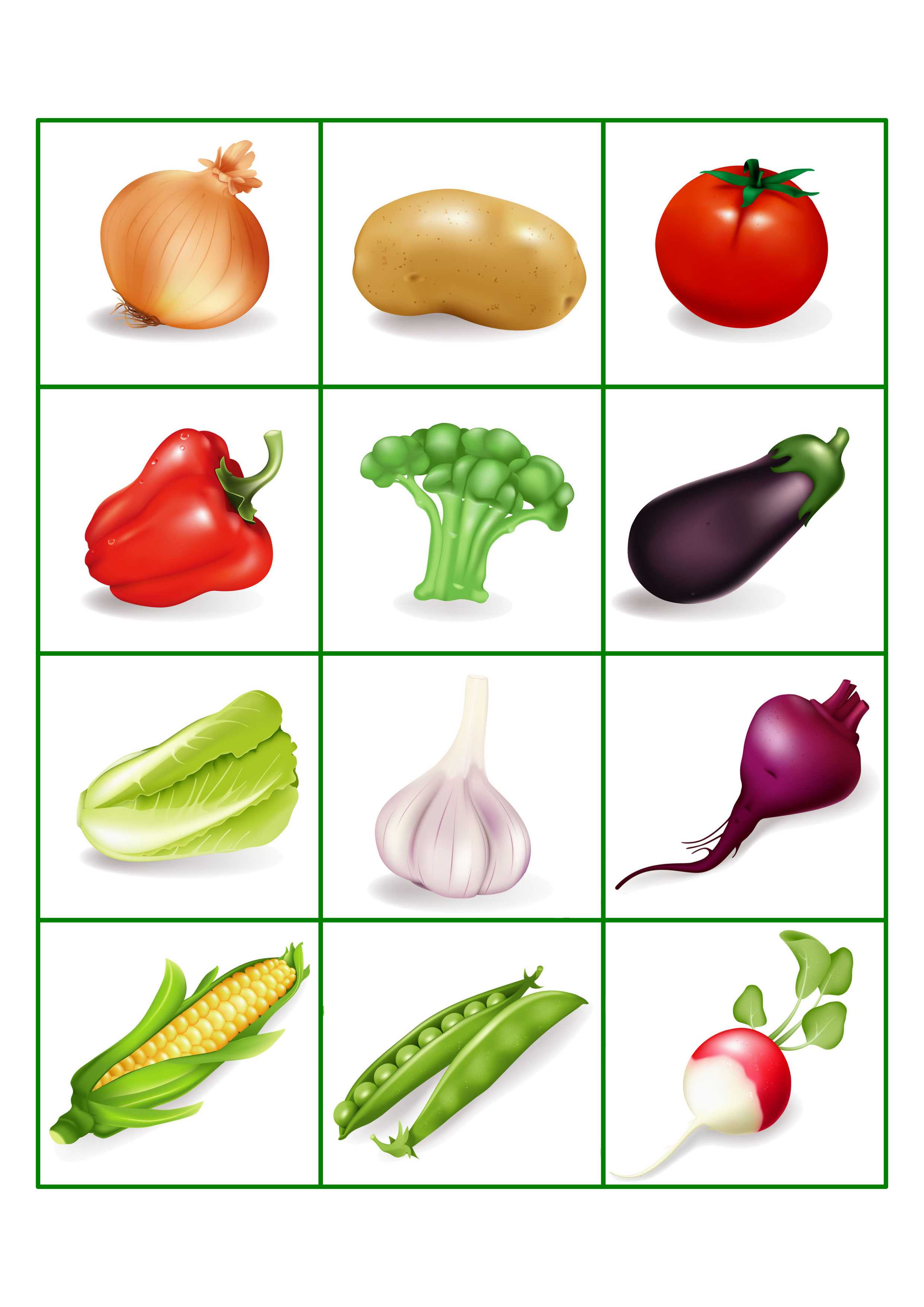 Цветные картинки для детей «овощи»