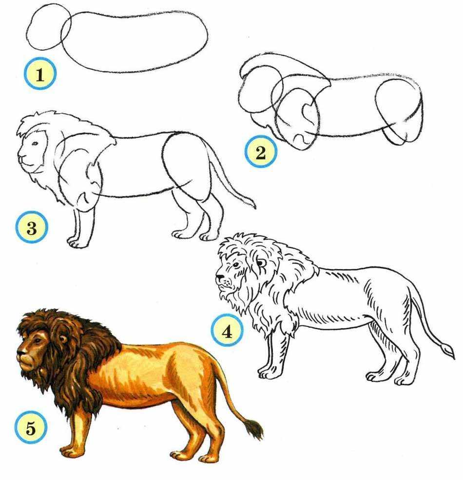 Смотрите ТОП лучших вариантов как легко и просто нарисовать леопарда карандашом для начинающих Скачивайте и распечатывайте с лучшим порталом