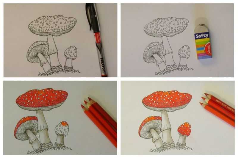 Как нарисовать гриб карандашом: инструкция для детей и начинающих художников