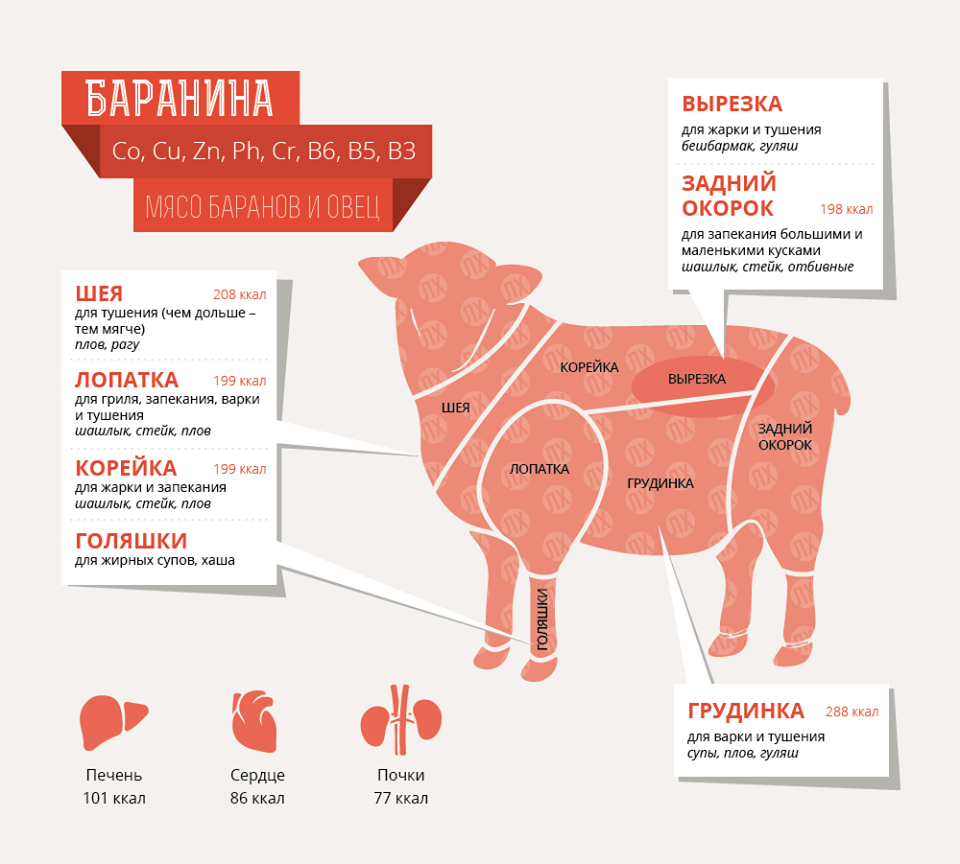 Мясные блюда на новый 2019 год: 40 рецептов из свинины, говядины, курицы и баранины с фото