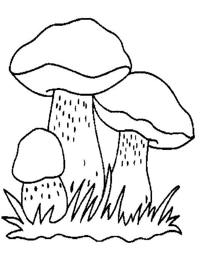 Как нарисовать грибы карандашом - поэтапная инструкция с фото и описанием