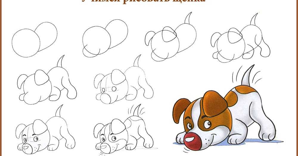 Интересные способы рисования собак популярных пород в разных позах