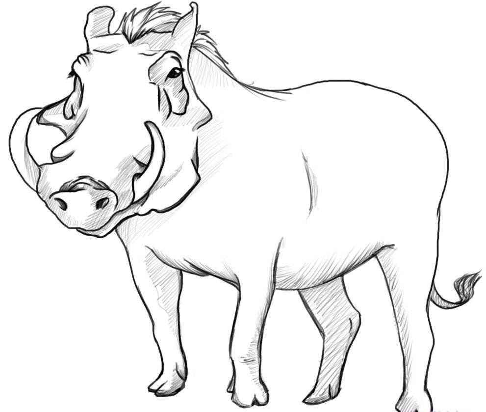 Как рисовать животных: свиньи, дикие кабаны, бородавочники » как рисовать поэтапно. уроки рисования карандашом для начинающих