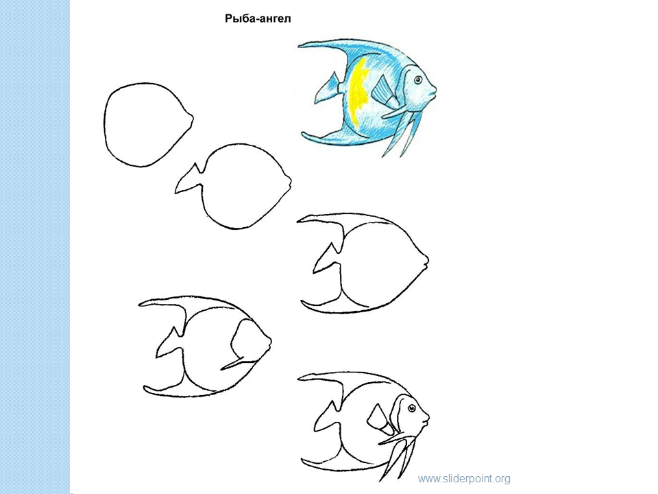 Как нарисовать рыбку пошагово: мастер-класс для детей по созданию рисунка фломастером и карандашом