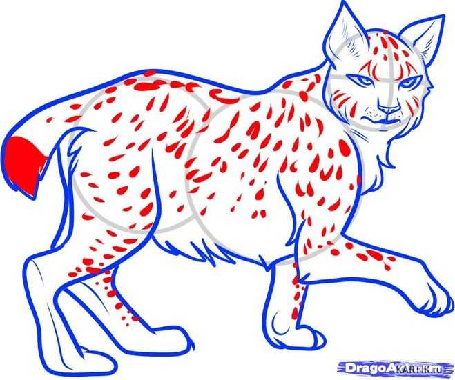Как нарисовать тигра: 50+ пошаговых инструкций для детей взрослых