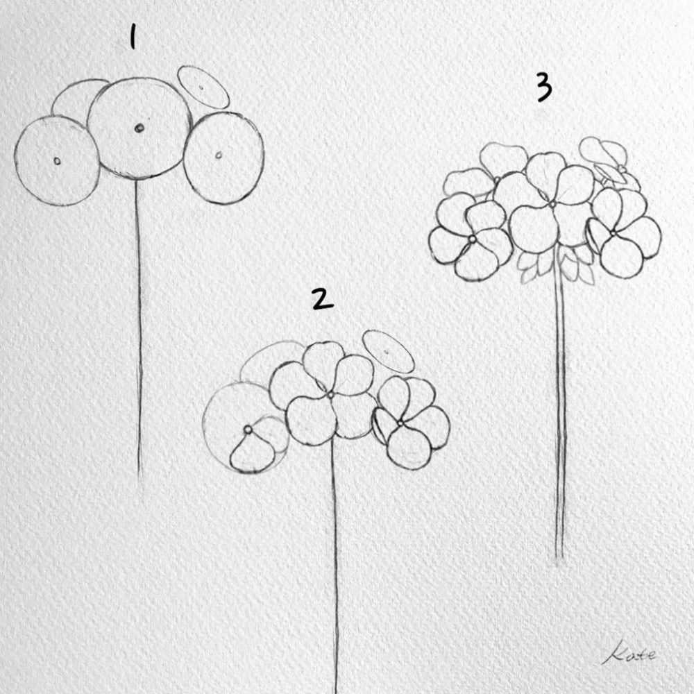 Как нарисовать цветы карандашом поэтапно для начинающих
