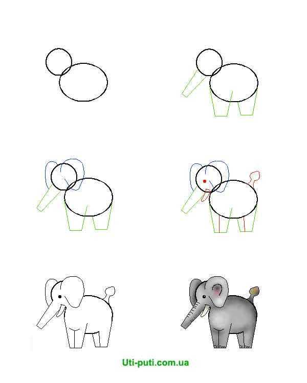 Урок-схема рисования карандашом – слон