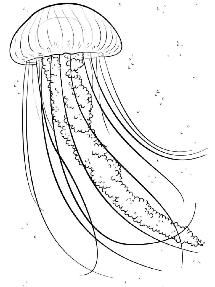 Несколько слов о медузах, что потребуется для рисования, простой рисунок для детей, с глазами, тонкими щупальцами, Горгона, со сложными щупальцами, медуза-шампиньон, веселая медуза, мультяшная, для самых маленьких Для последующего раскрашивания изображени
