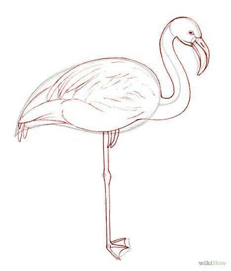 Как нарисовать фламинго | рисунок розового фламинго карандашом поэтапно