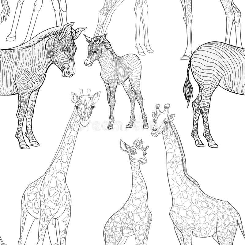Как нарисовать полоски зебры: 14 шагов
