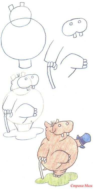 Как раскрасить бегемота цветными карандашами. как нарисовать бегемота карандашом поэтапно для детей. как нарисовать бегемота карандашом поэтапно
