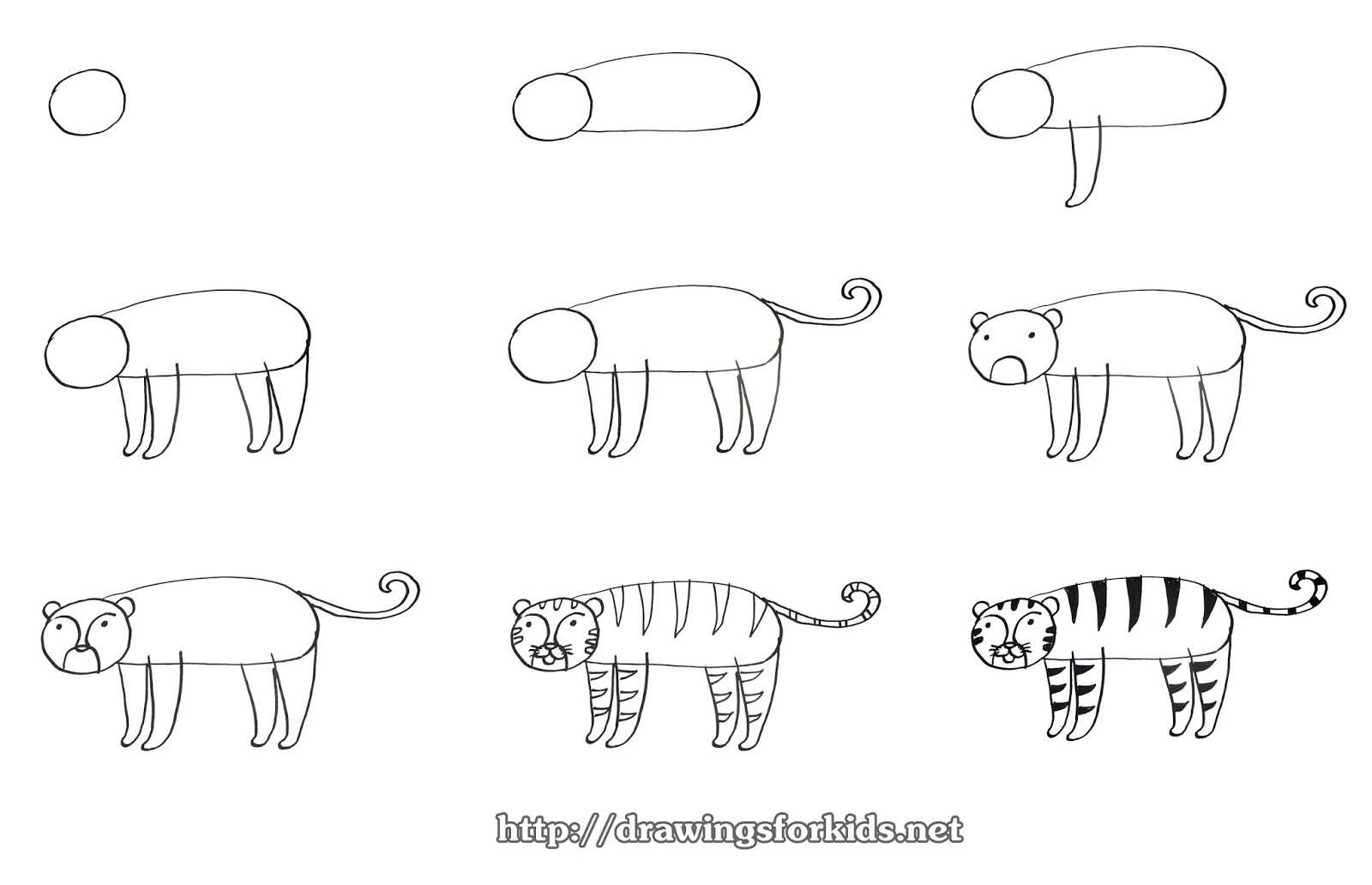 Как нарисовать тигра легко