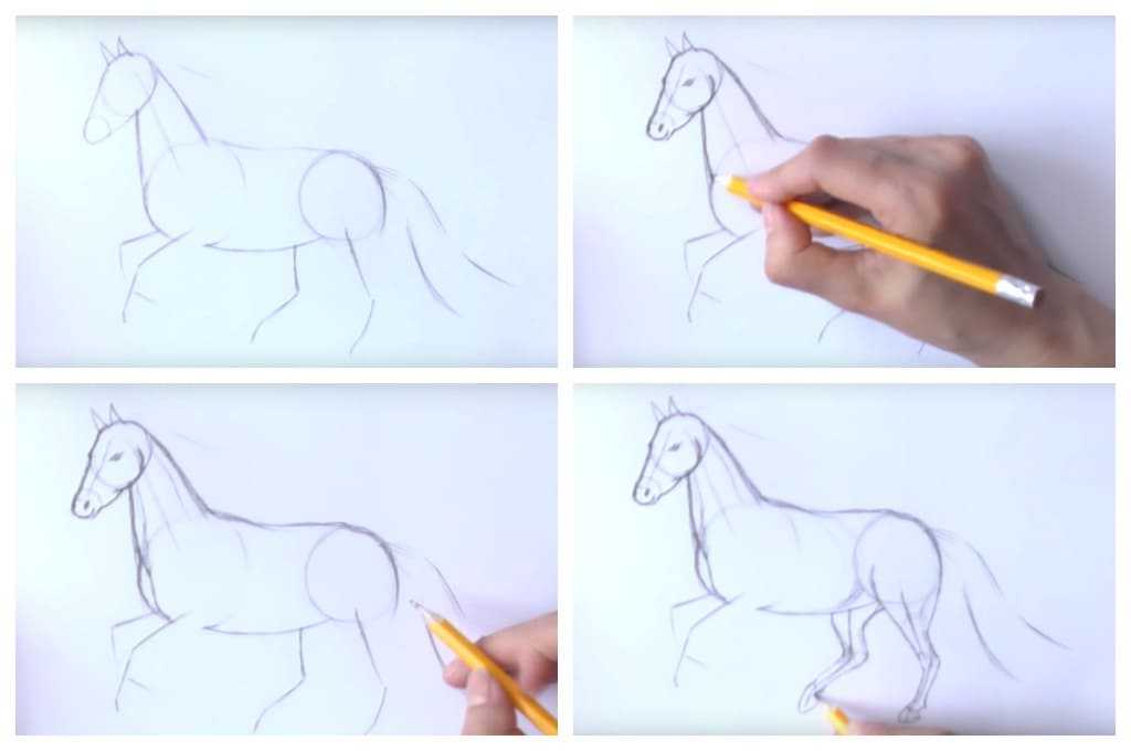 ► самые простые способы, как нарисовать лошадь карандашом поэтапно – креативные идеи
