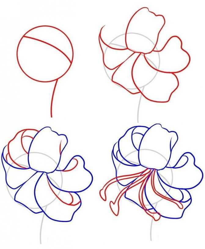 Как нарисовать цветок - уроки, способы и советы как сделать красивый рисунок цветка (125 фото)