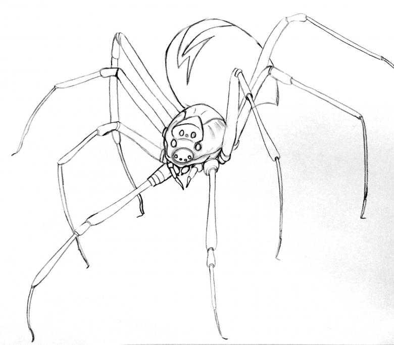 Как нарисовать человека паука карандашом поэтапно: учимся рисовать легко и просто по клеточкам. интересная инструкция для начинающих