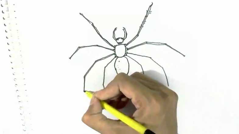 Как нарисовать паука - wikihow
