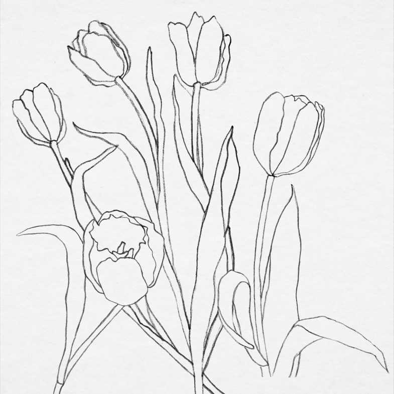 Чтобы нарисовать простой тюльпан, достаточно владеть базовыми навыками и умением использовать геометрические живописи Простой рисунок карандашом, небольшой букет, без использования дополнительных фигур, с помощью овалов, весенний букет