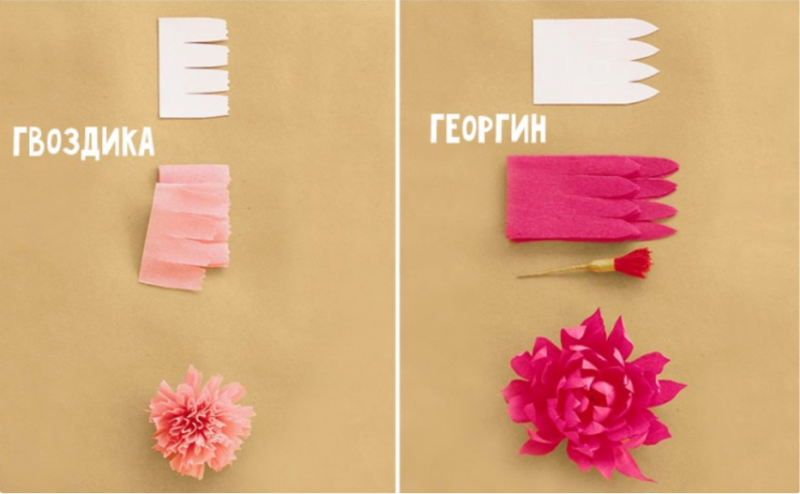 Цветы из бумаги своими руками — схемы и шаблоны
