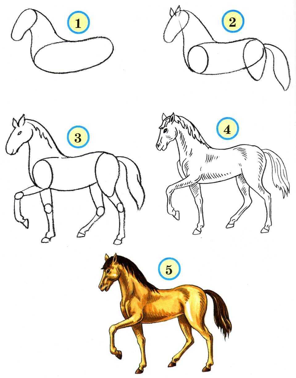 Как нарисовать лошадь поэтапно карандашом легко для детей