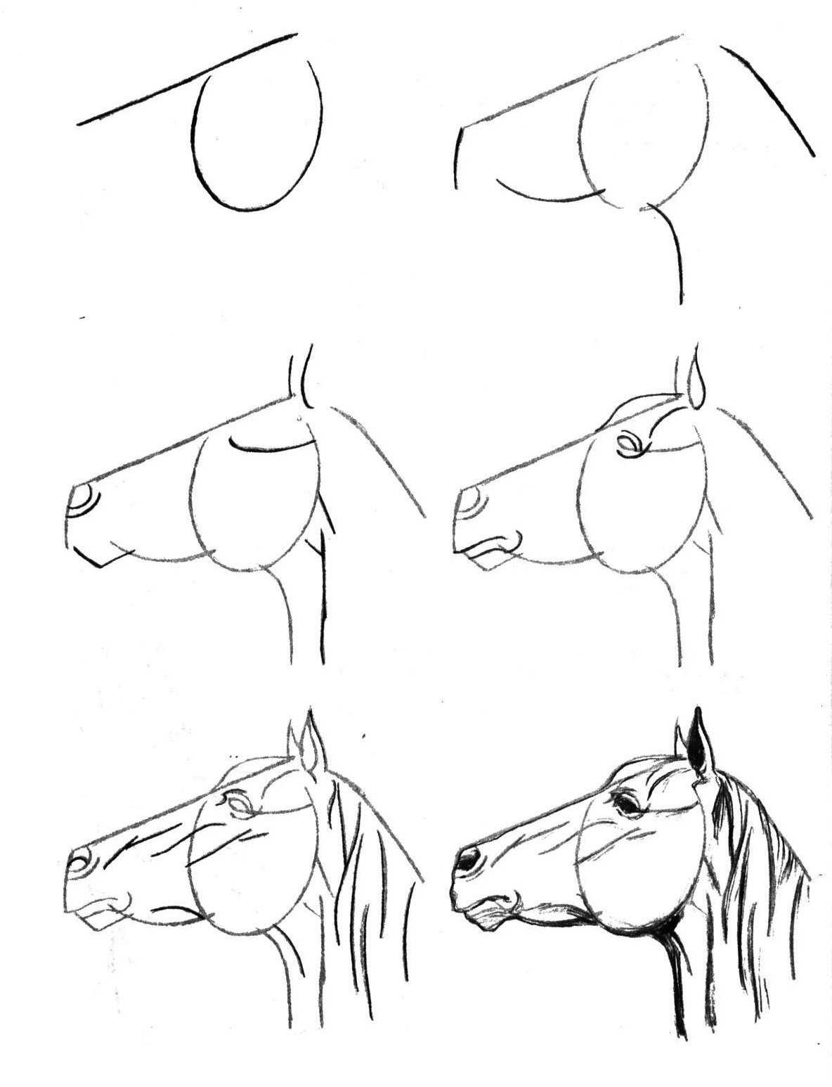 Рисовать лошадь поэтапно карандашом