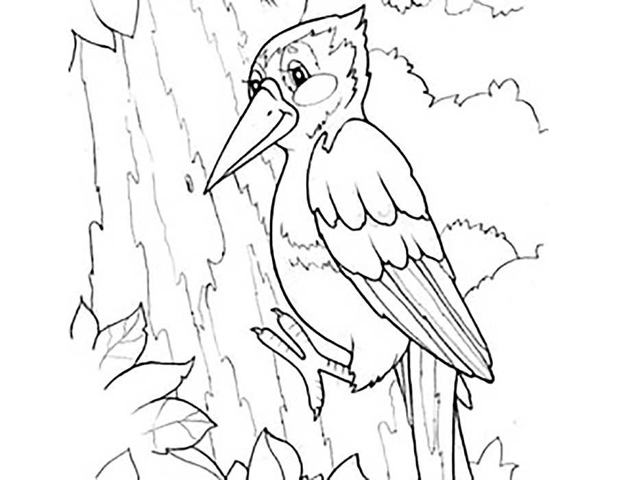 Как нарисовать птицу поэтапно карандашом (63 фото) - легкие мастер-классы для начинающих