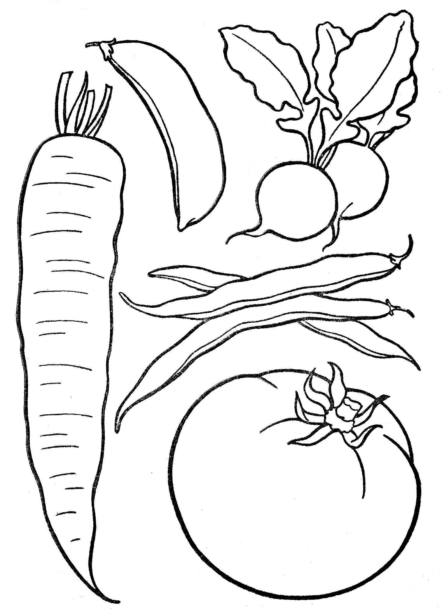 Рисунки фруктов и овощей для детей для раскрашивания, срисовки цветные карандашом, красками