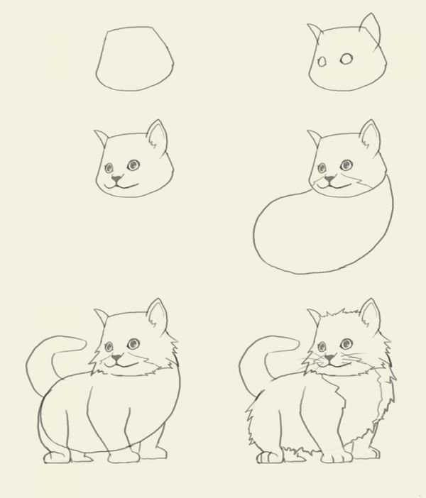 Как нарисовать кота карандашами поэтапно для начинающих