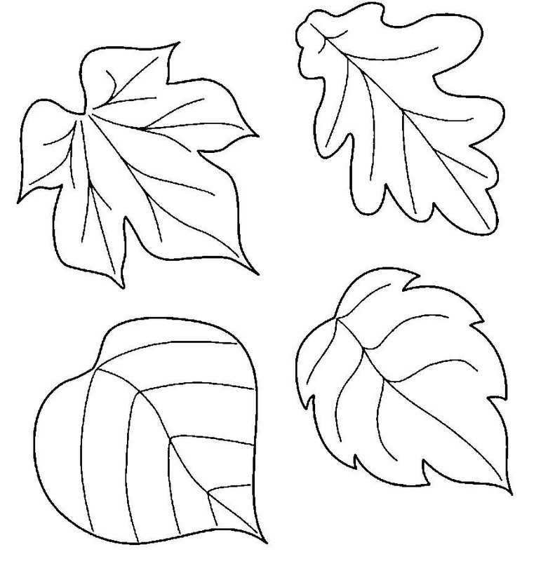 Шаблоны листьев для вырезания из бумаги