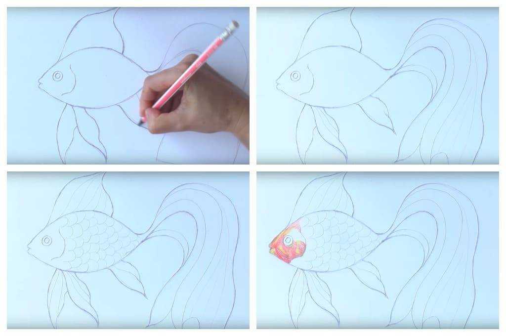 Как нарисовать домашних животных поэтапно карандашом. топ вариантов для начинающих
