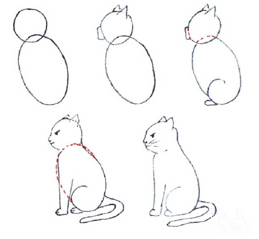 Как нарисовать аниме леди баг и супер кота карандашом поэтапно для начинающих? как нарисовать карандашом аниме леди баг в полный рост и лицо супер кота?