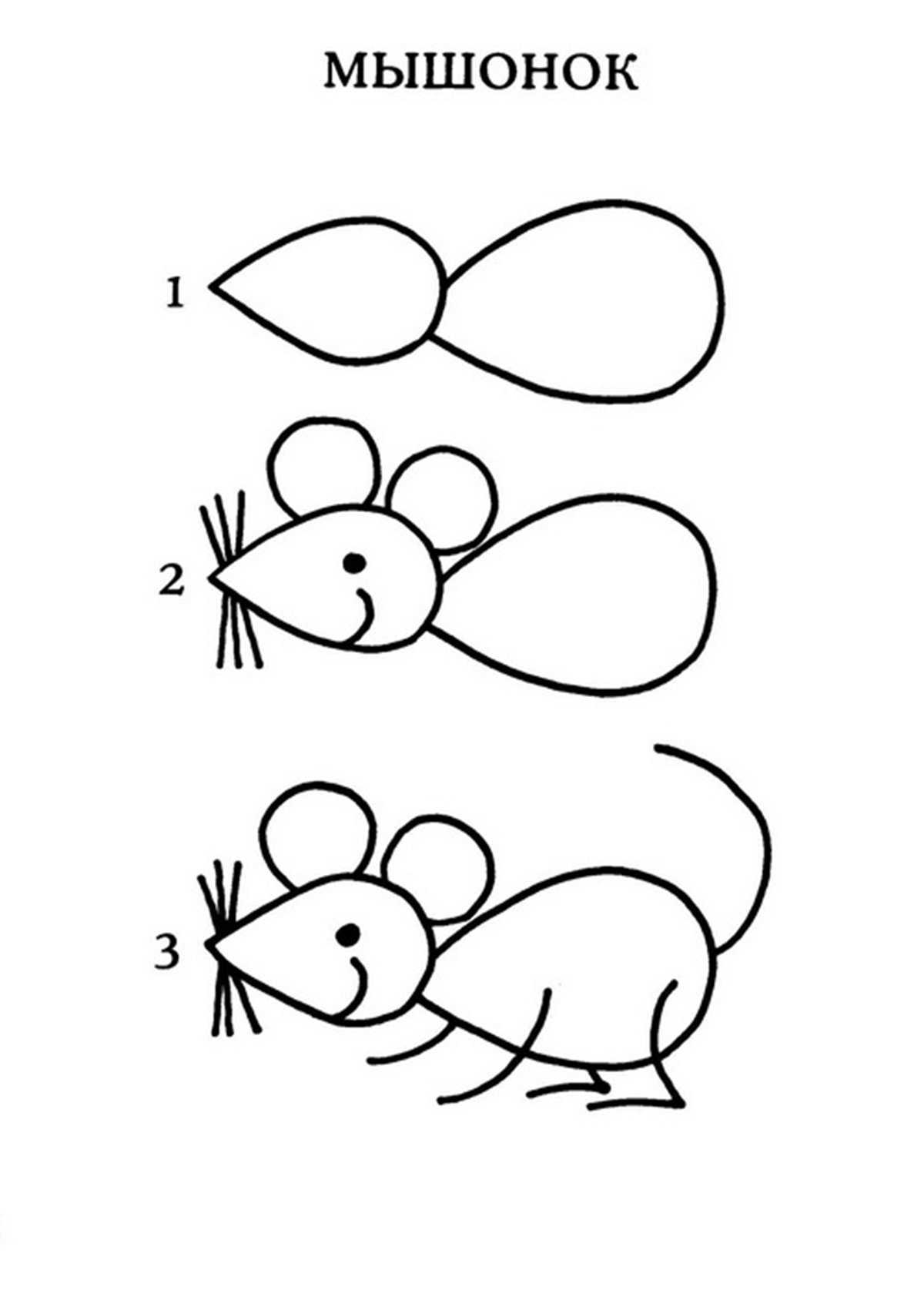 Как нарисовать мышку карандашом поэтапно
