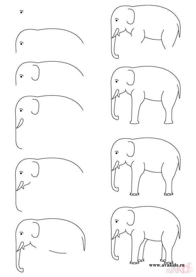 Как нарисовать слона карандашом поэтапно для детей и начинающих? как нарисовать слона и моську?