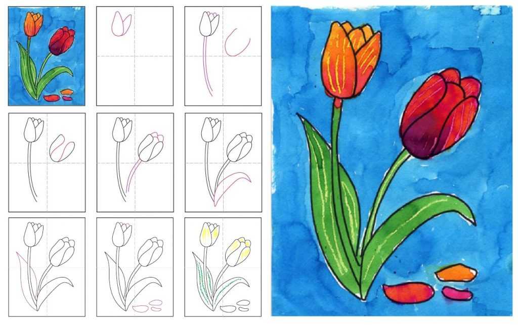 Как рисовать тюльпан карандашом поэтапно для начинающих? как нарисовать букет тюльпанов карандашом поэтапно?