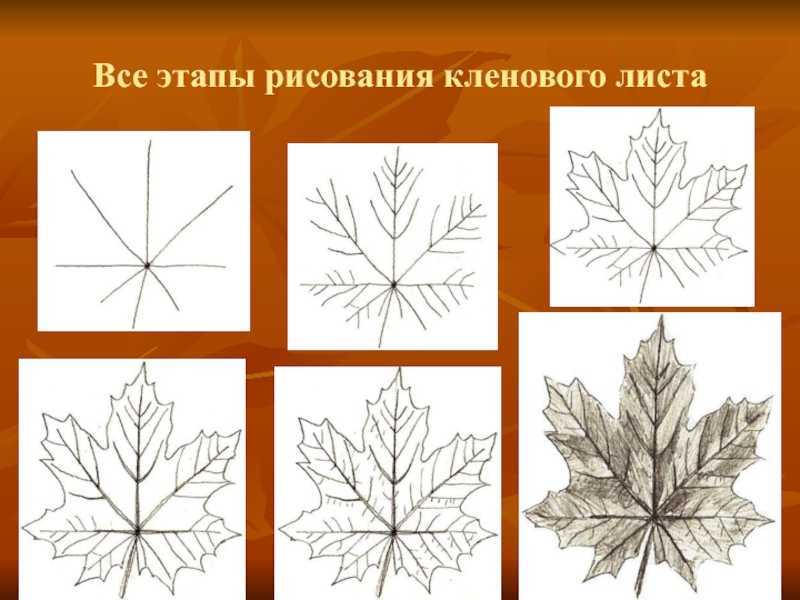 Как нарисовать листья поэтапно своими руками: простая инструкция рисования осенних листьев для начинающих
