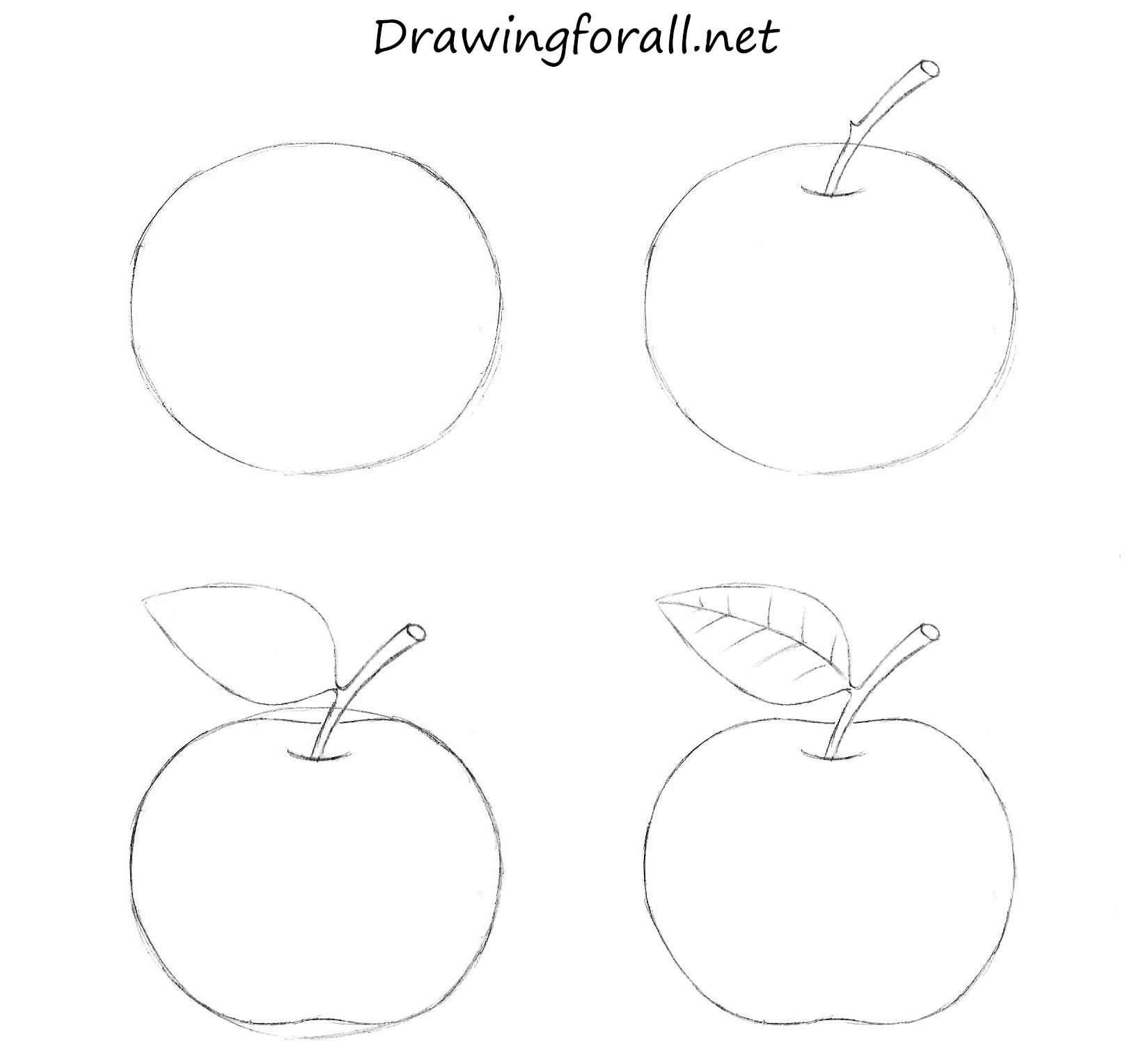 Яблоко рисунок для детей карандашом. как рисовать поэтапно черно-белые, цветные рисунки, на прозрачном фоне