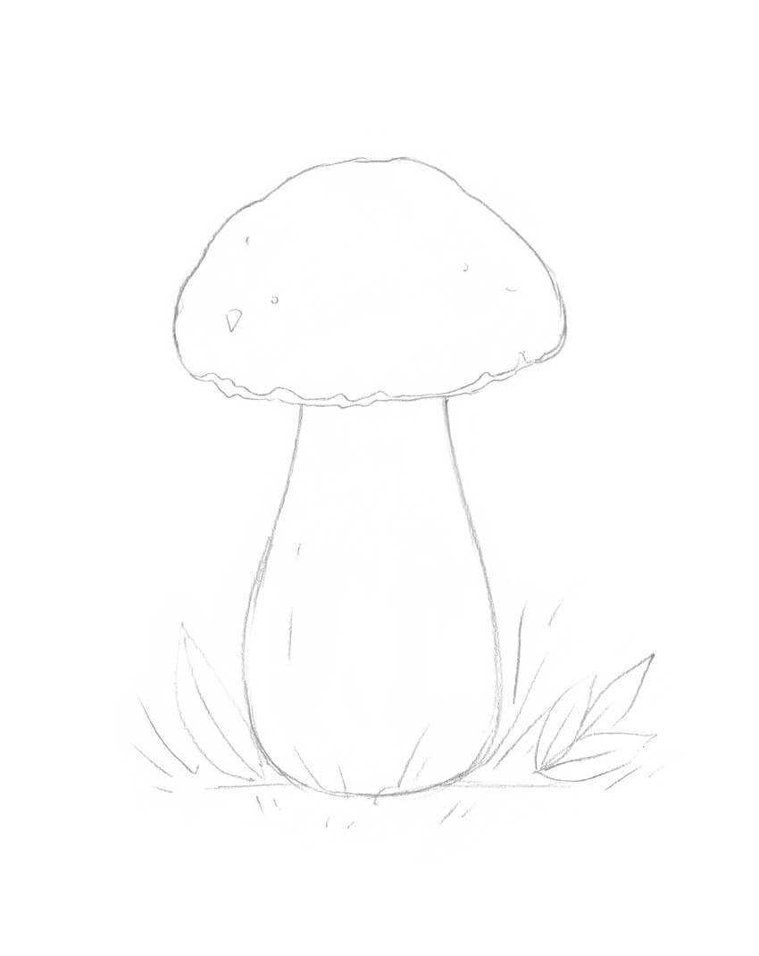 Как нарисовать грибы карандашом поэтапно для ребёнка