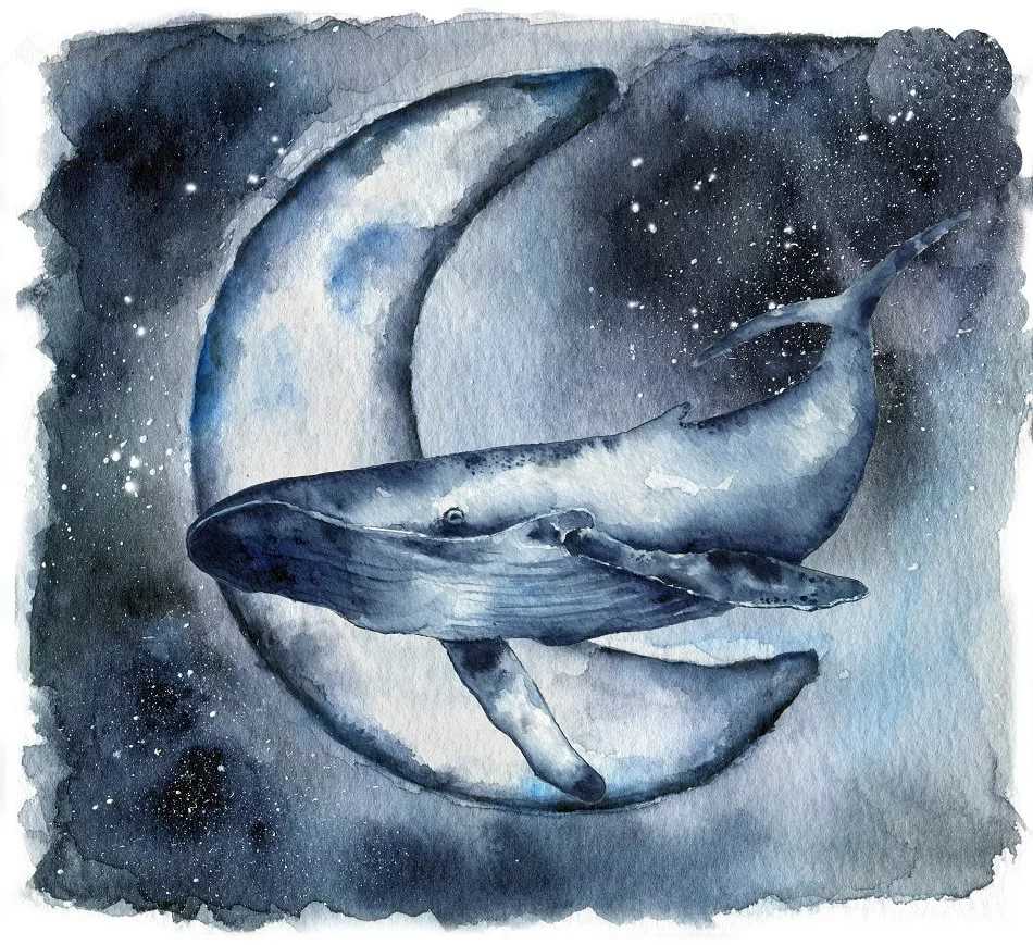Как нарисовать кита: поэтапный мастер-класс по рисованию кита красками и карандашом для начинающих