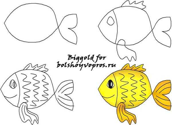 Как легко и красиво нарисовать рыбу поэтапно карандашом для начинающих