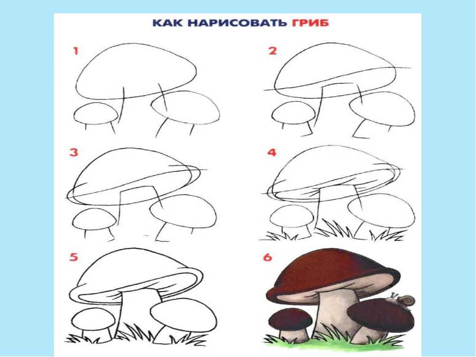 Как нарисовать грибы карандашом