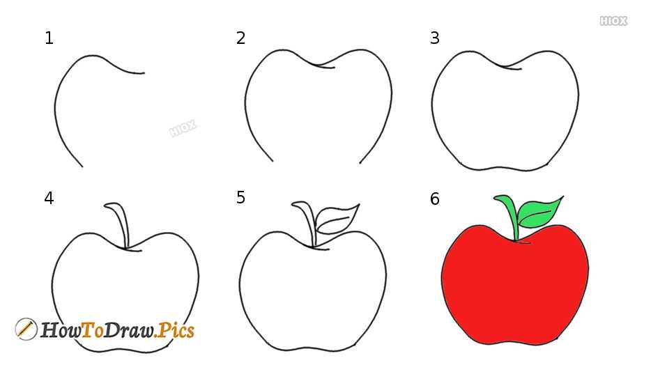 Как нарисовать яблоко своими руками: пошагово учимся рисовать яблоко красками и карандашом (урок для начинающих)