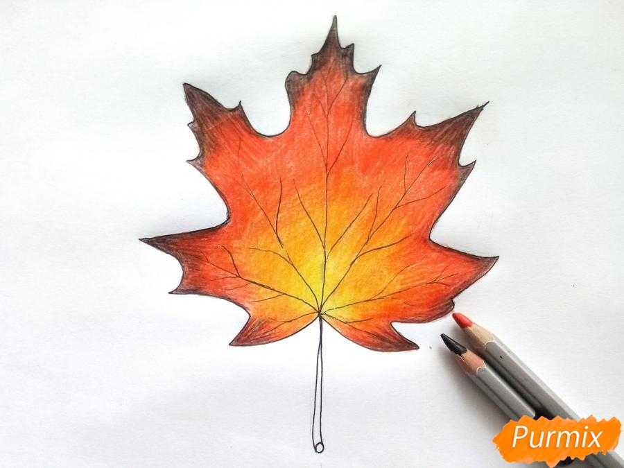 Как нарисовать кленовый лист цветными карандашами поэтапно